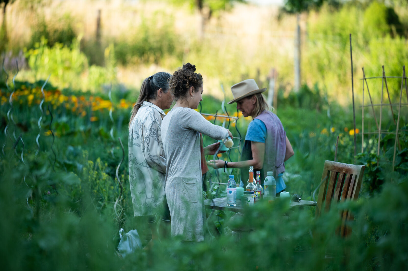 Preserving Heirloom Vegetable Varieties: What You Can Do