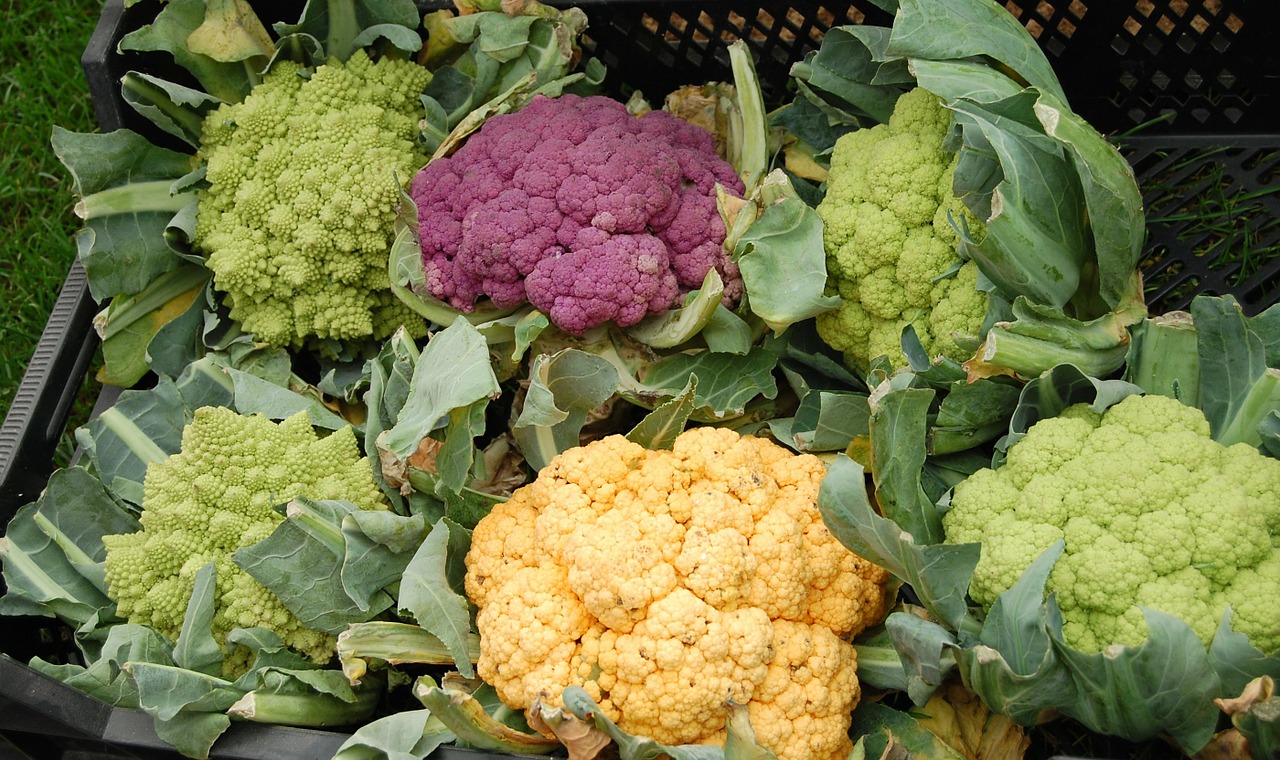 Colorful cauliflower