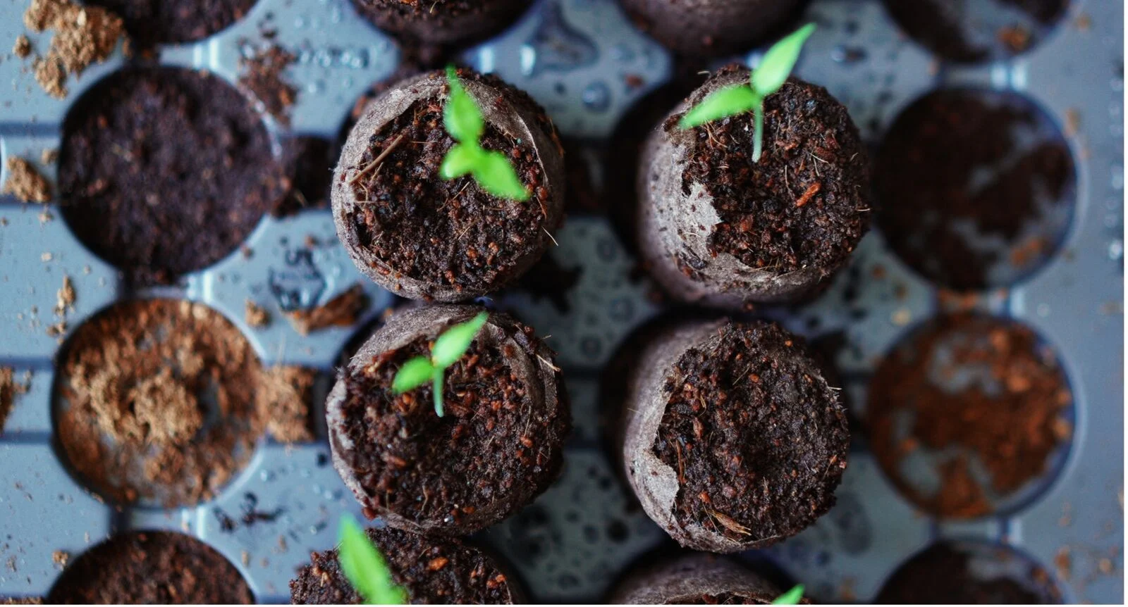 Pre-feeding swelling tablets