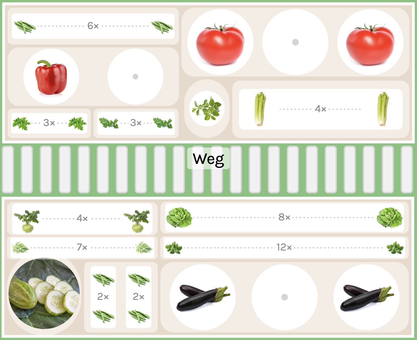 Pflanzplan für Aubergine im Gewächshaus.