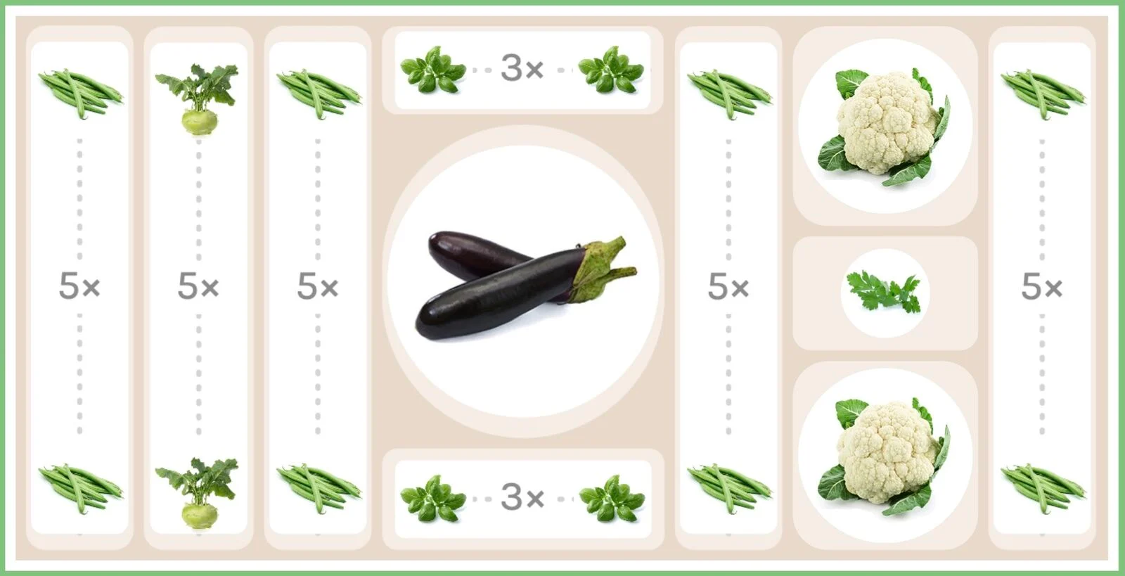 Planting plan for aubergine in mixed cultivation