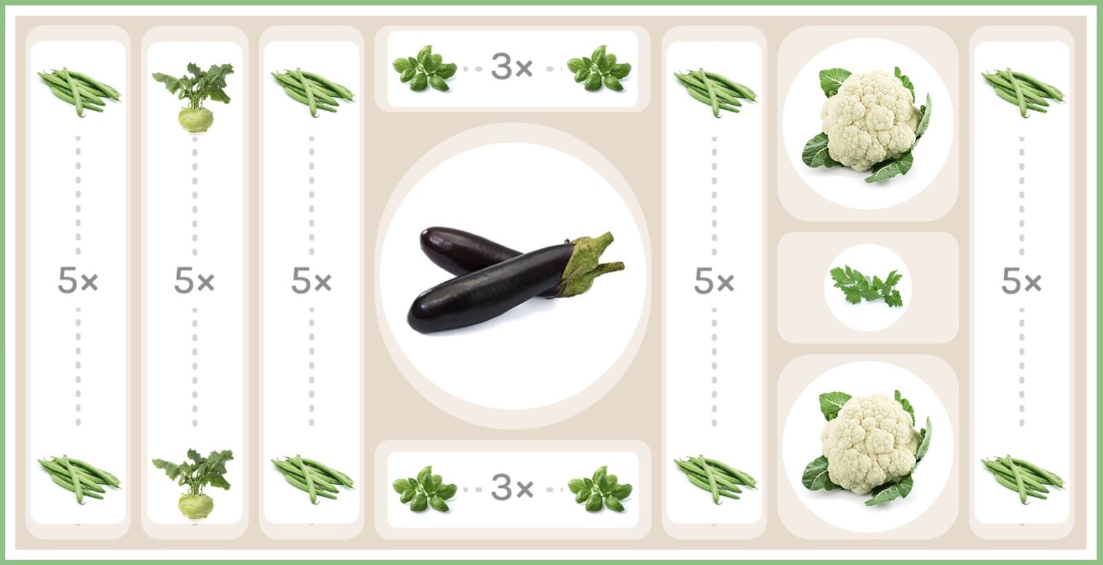 Planting plan for eggplant in mixed cultivation