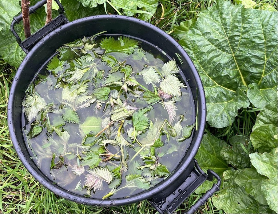 Pflanzenjauche ansetzen: eine Anleitung