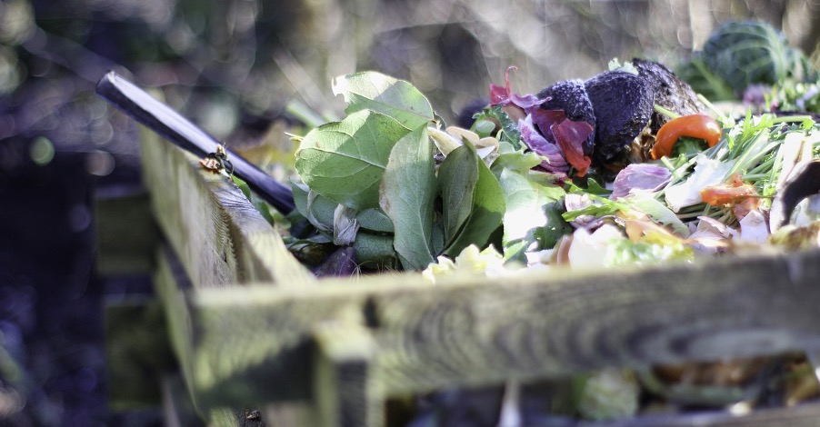 Plant soaks as a compost starter