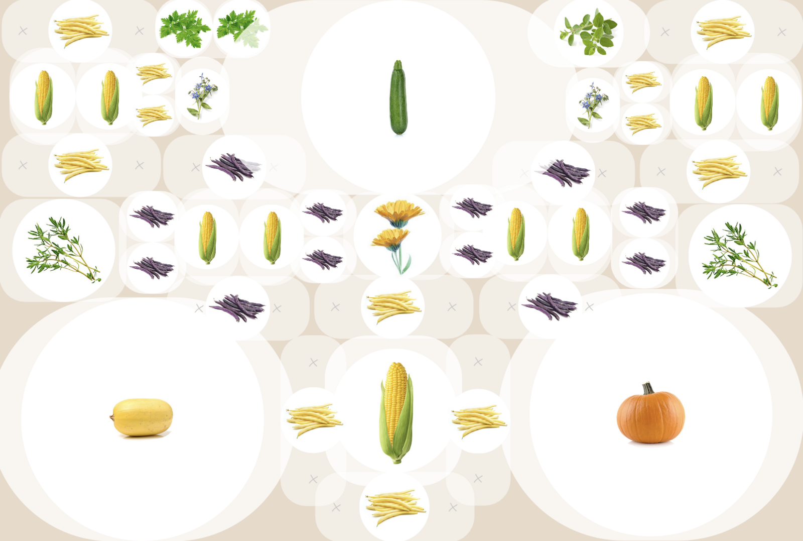 Planting Plan for a Milpa