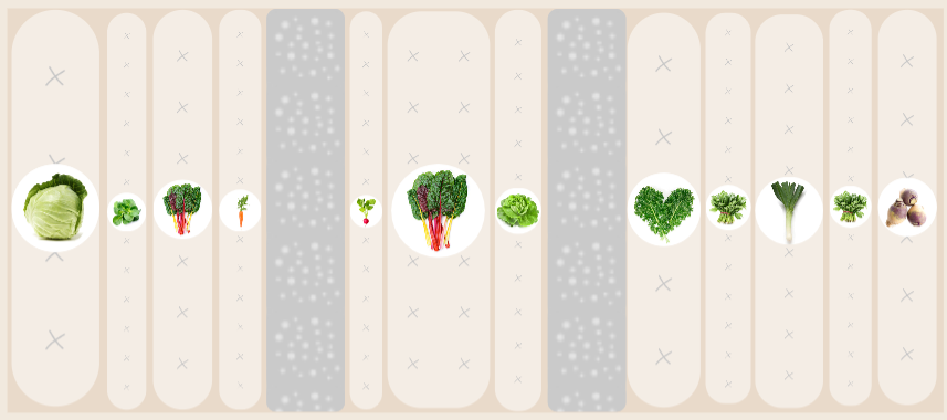 Planting Plan with Chard