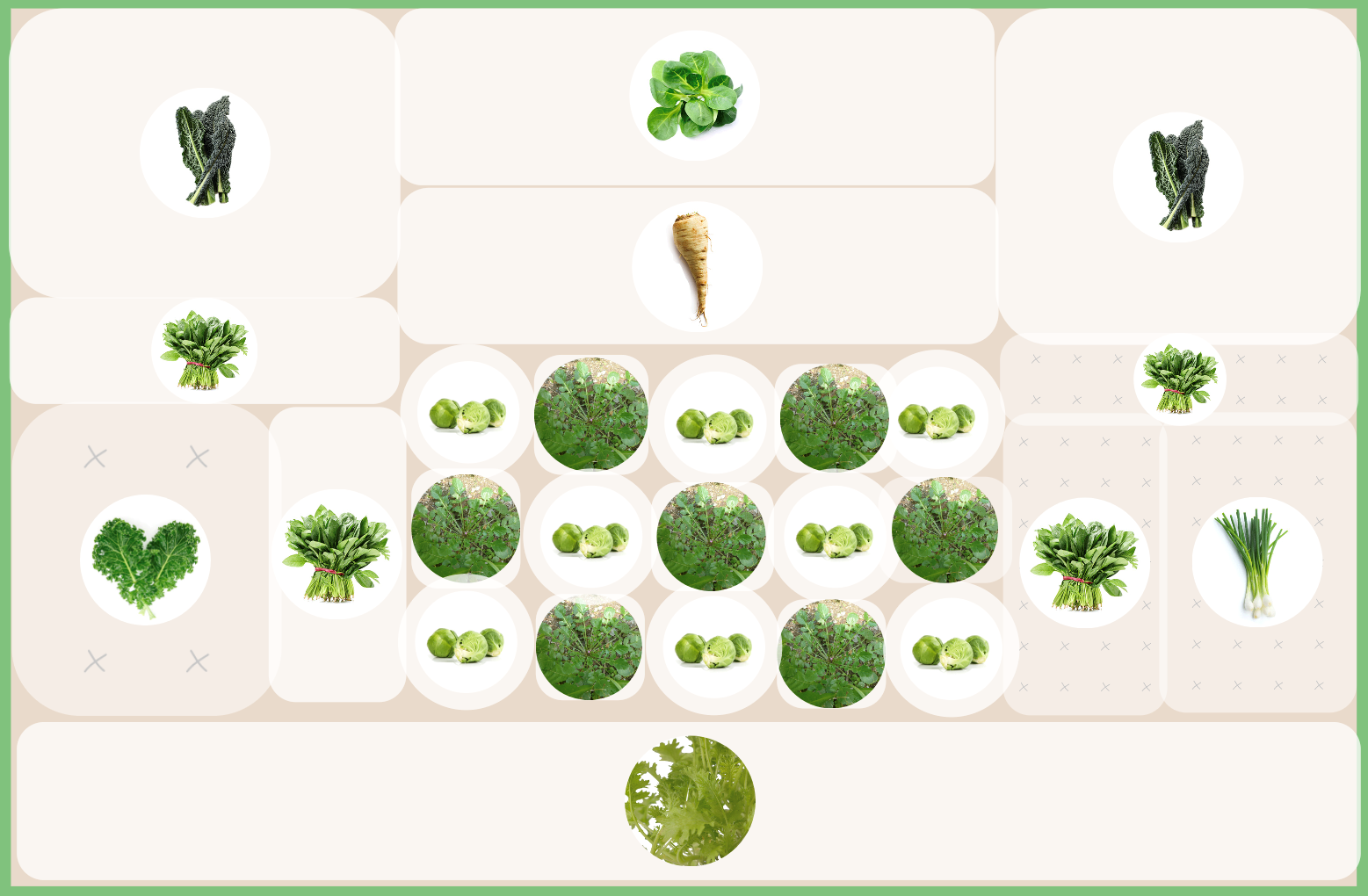 Planting Plan with heirloom varieties 