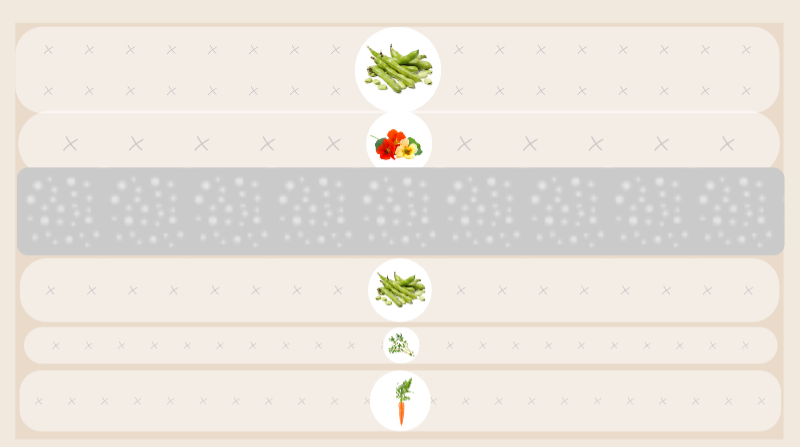 Planting Plan with beans and radishes