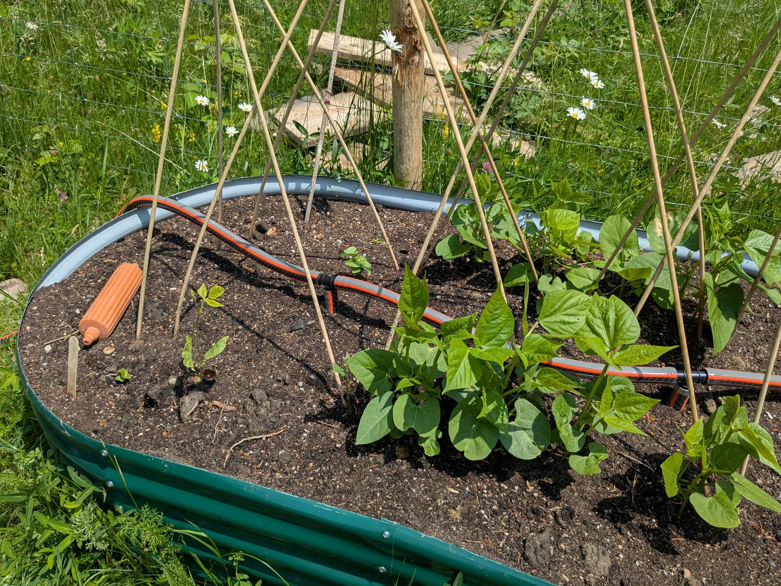 Gartenbewässerung im Überblick: Bewässerungssysteme für Garten, Balkon und Hochbeet
