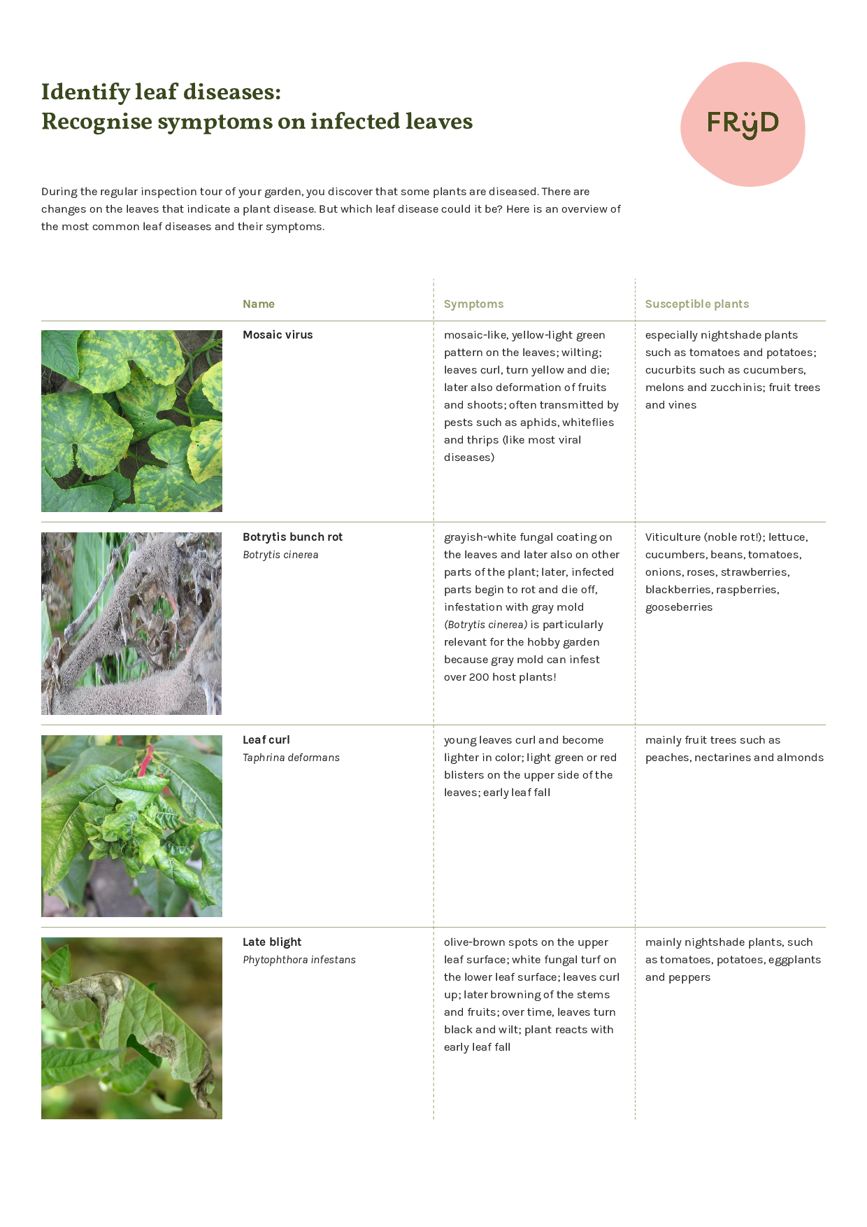 recognise-leaf-disease.pdf