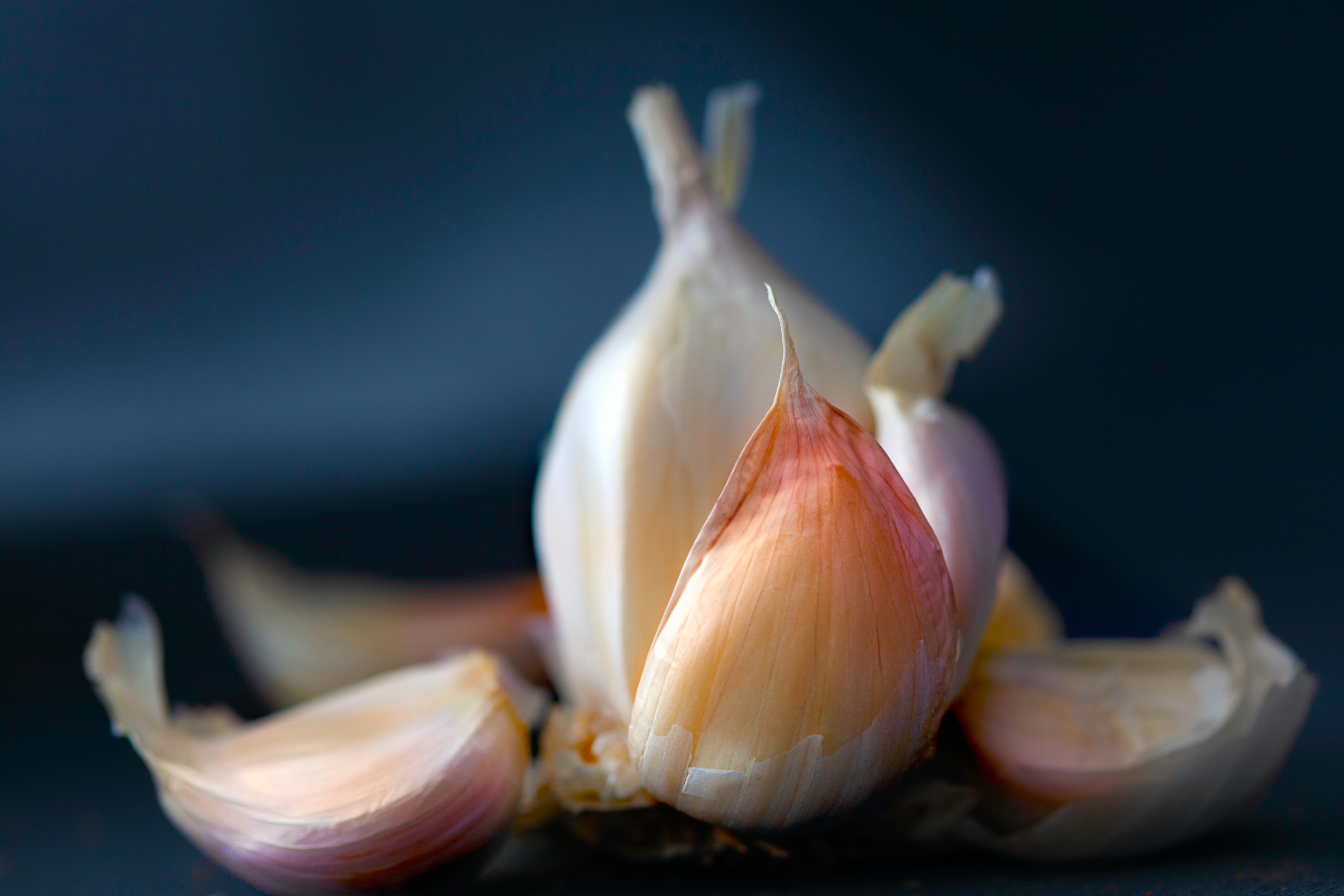 Knoblauch ist ein schlechter Nachbar für Bohnen