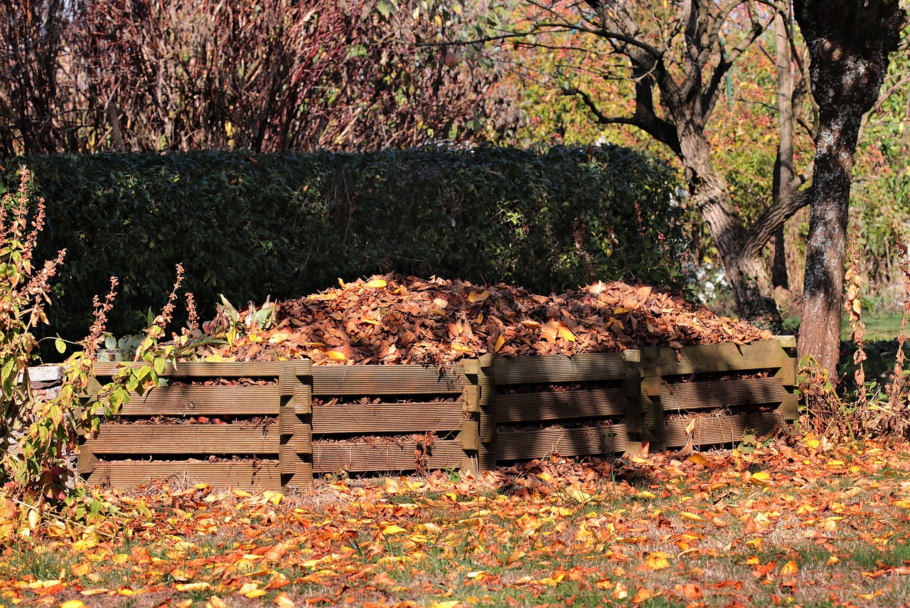 Compost in the garden filled with leaves in the fall.