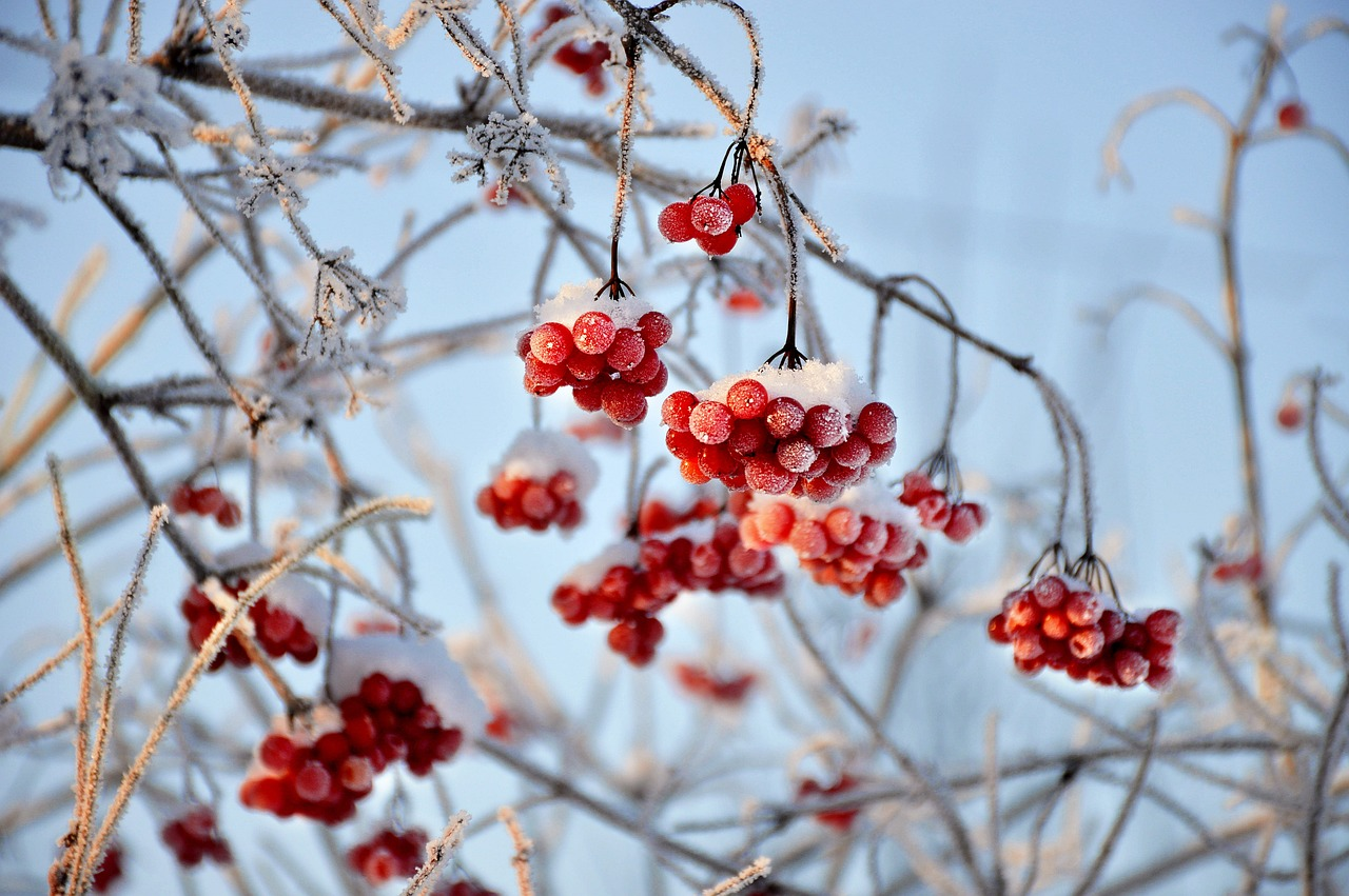 The Ice Saints: Farmer’s Rule or Myth?