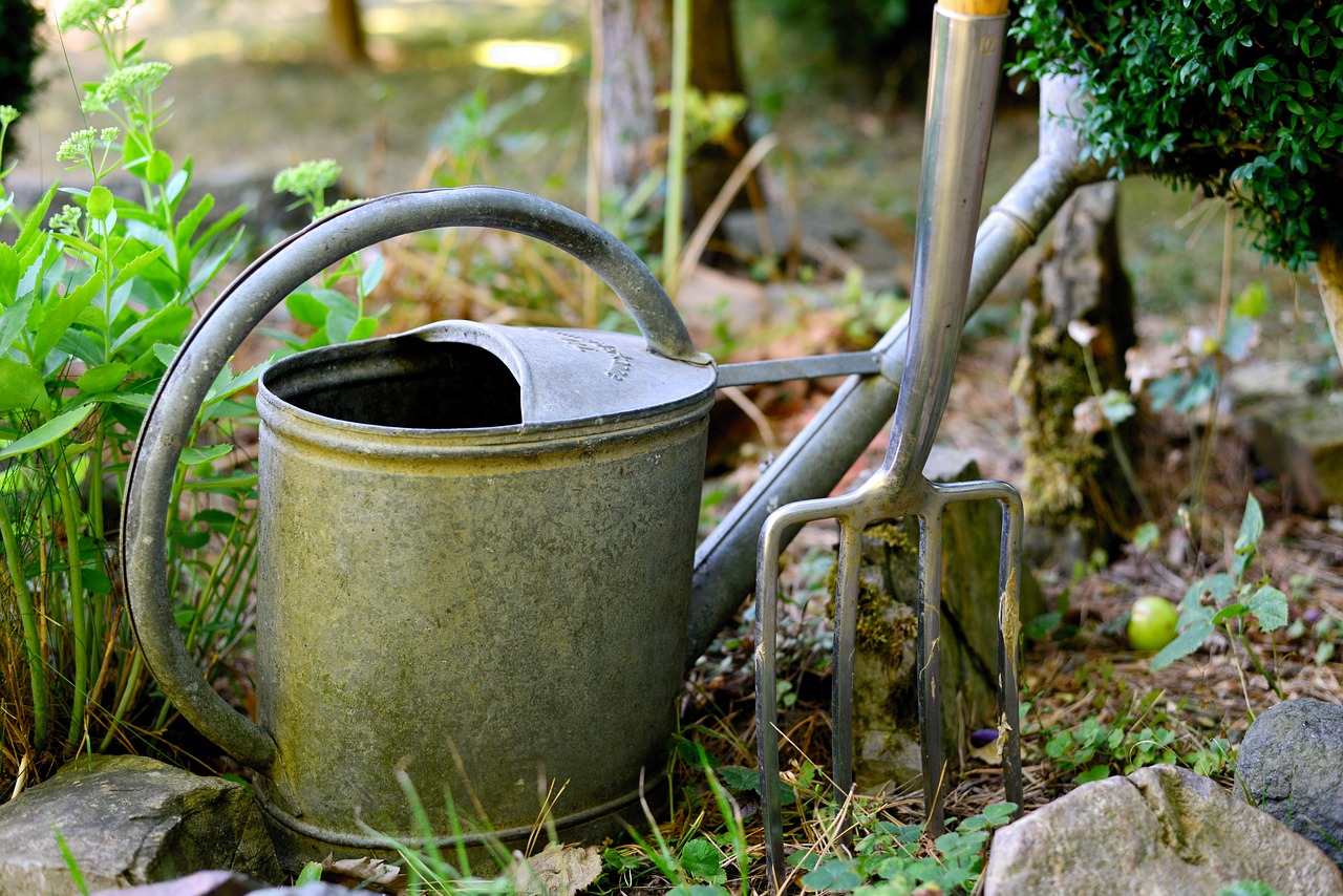 Digging fork for planting strawberry beds