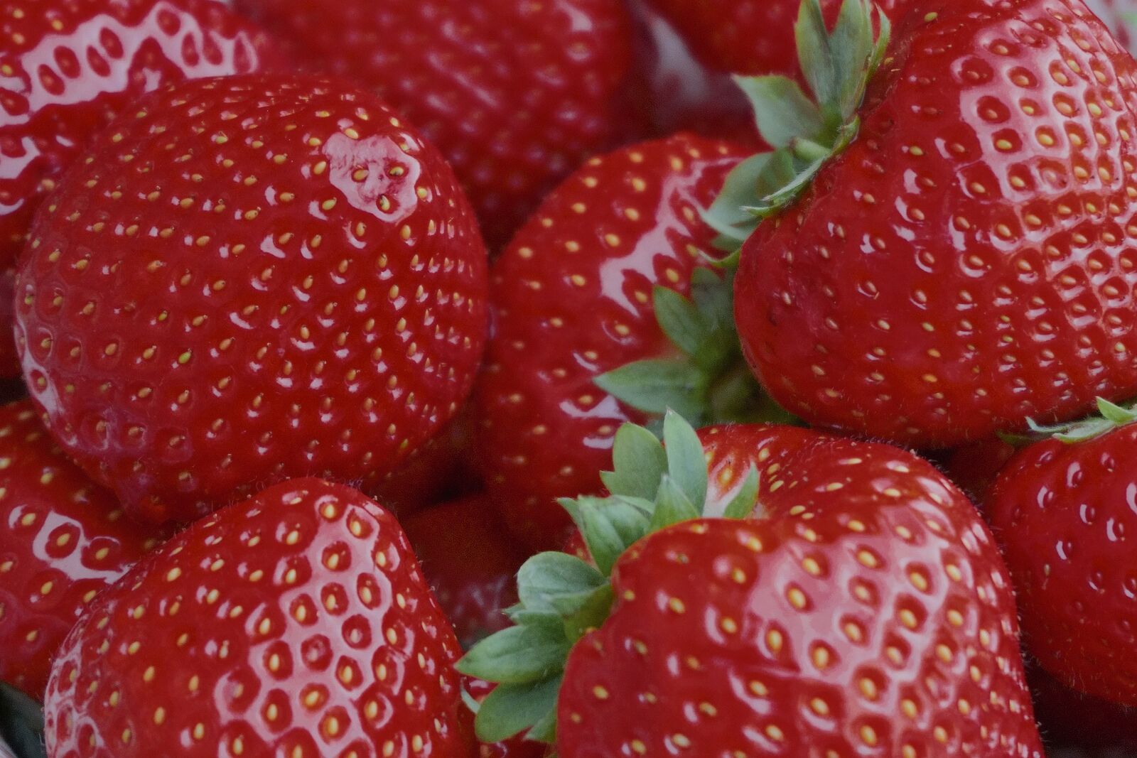 Ripe red strawberries