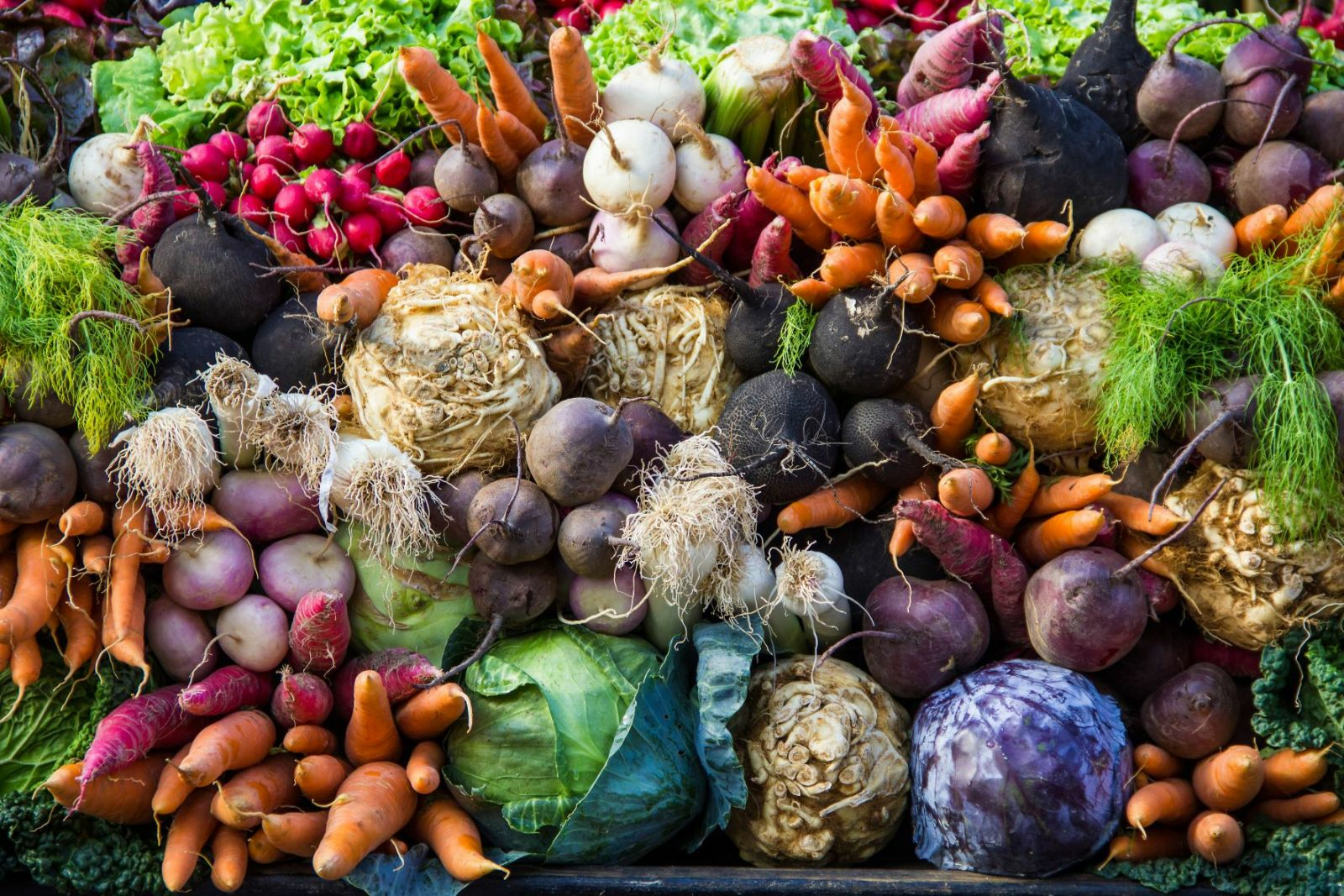 Harvest Time: When to Harvest Vegetables?