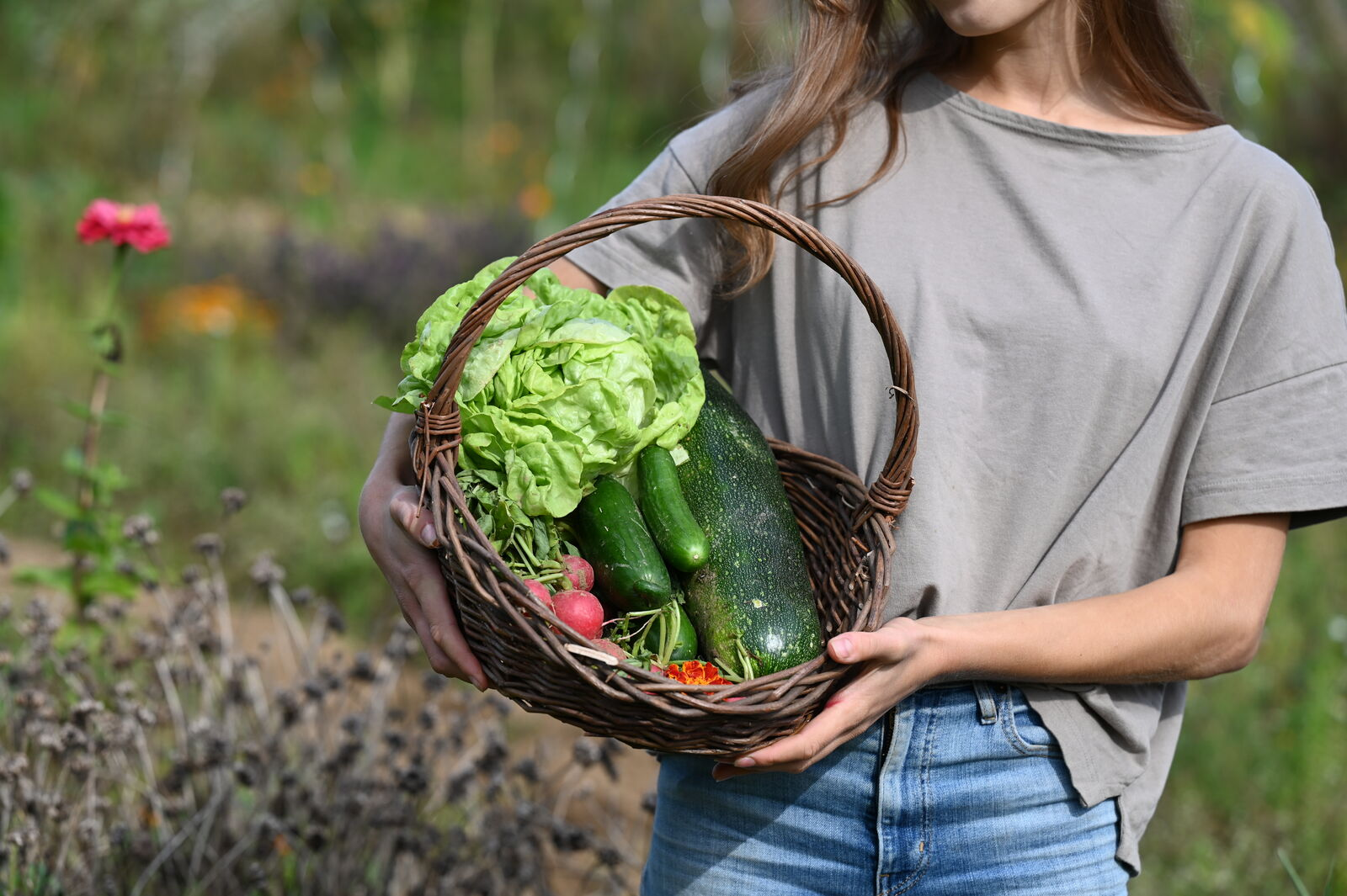 Yield Calculator for Vegetables: Calculate Area Requirements & Harvest Quantities