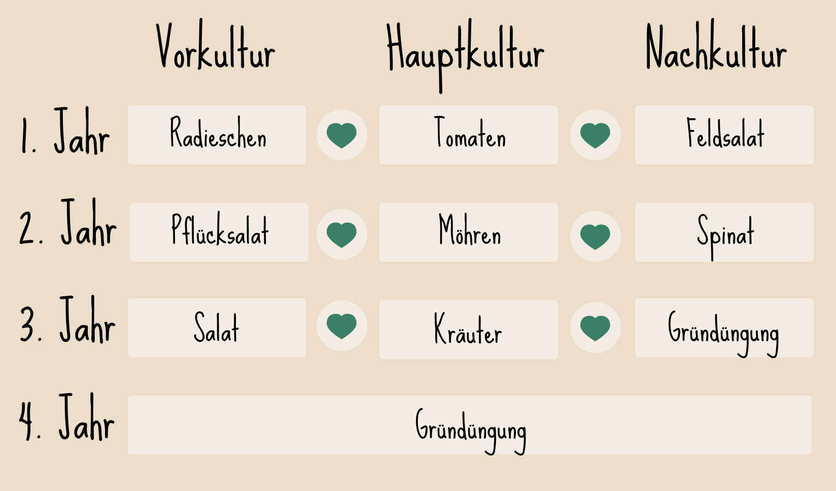 Fruchtwechsel Pflanzplan Beispiel