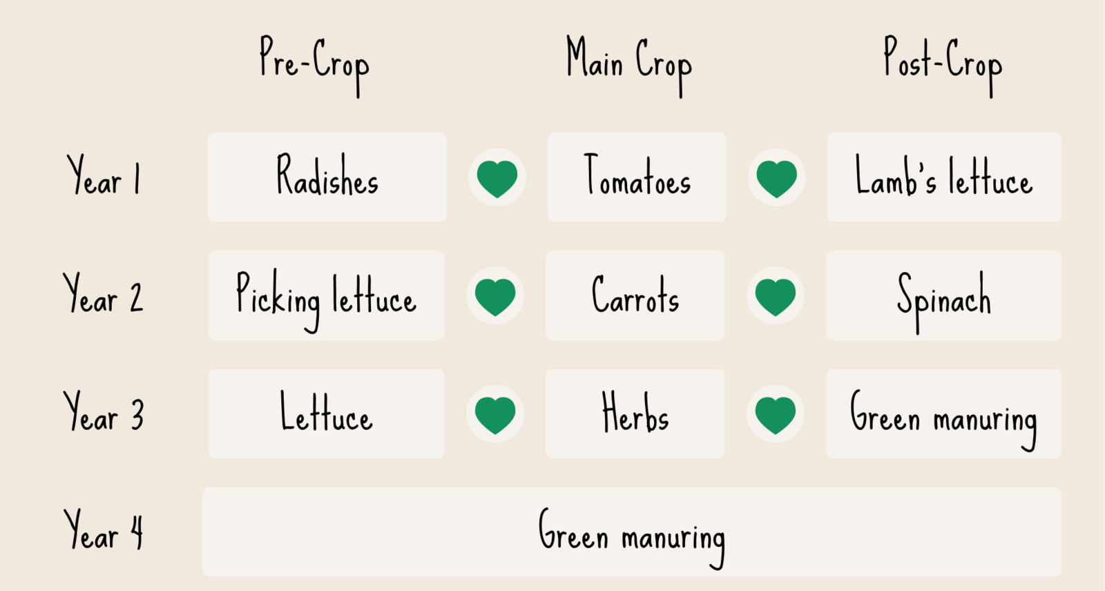 Crop rotation planting plan example