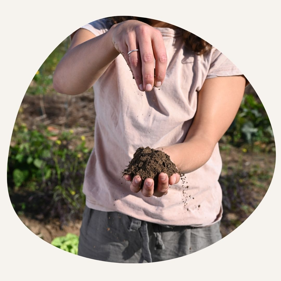 Soil and mulch