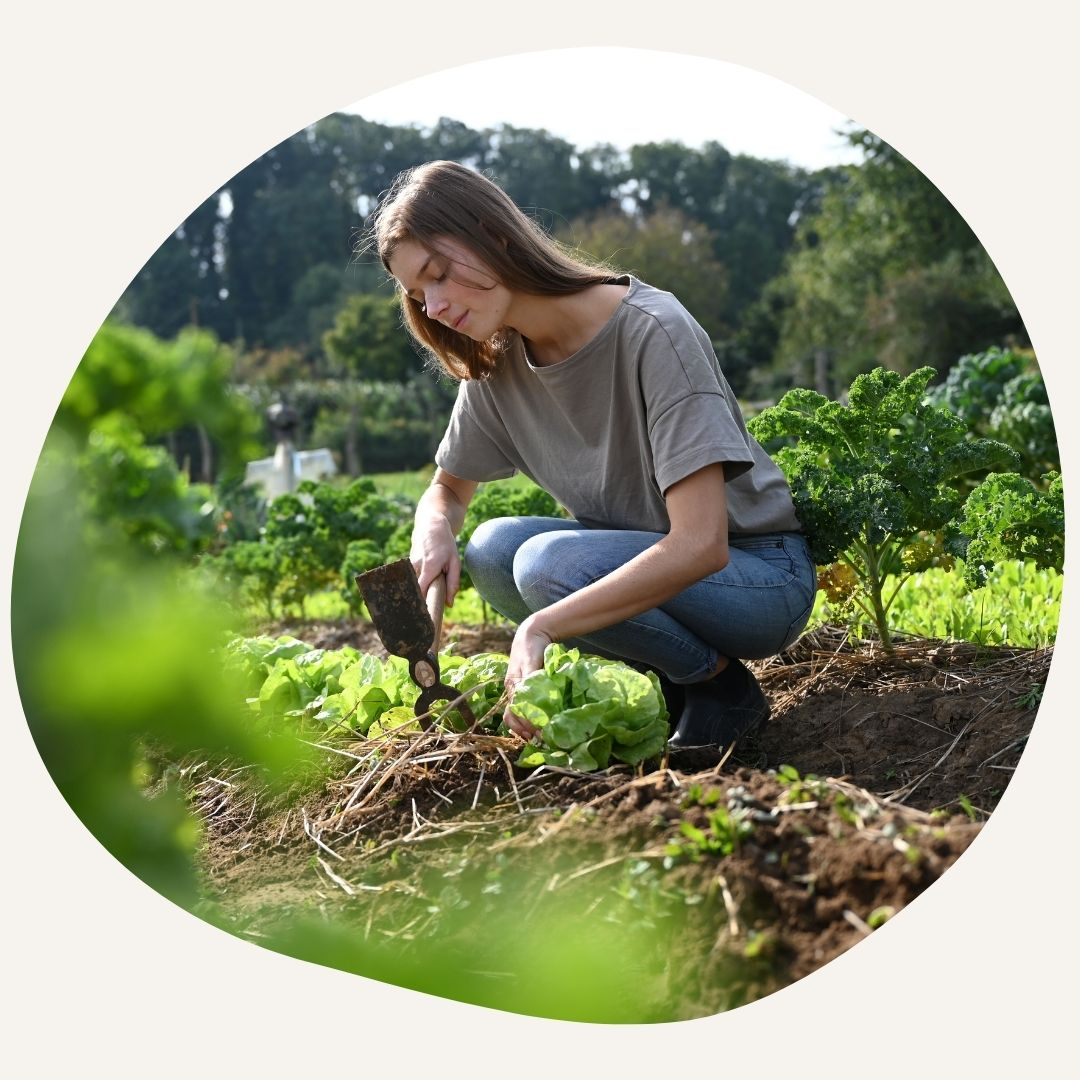 Gardening with permaculture