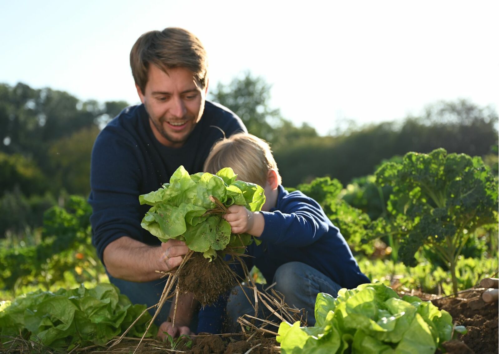 Sustainable gardening