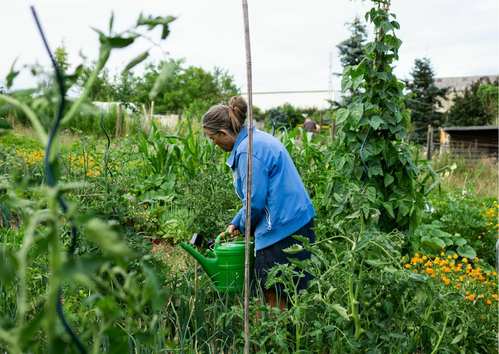 Gardening in the Cycle of Nature: Get Out of the One-Way Street