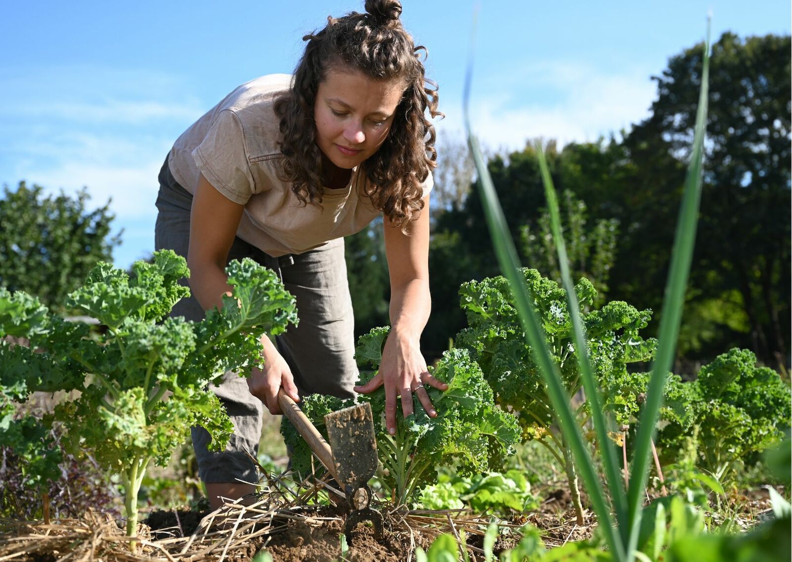 Gardening as responsible ownership