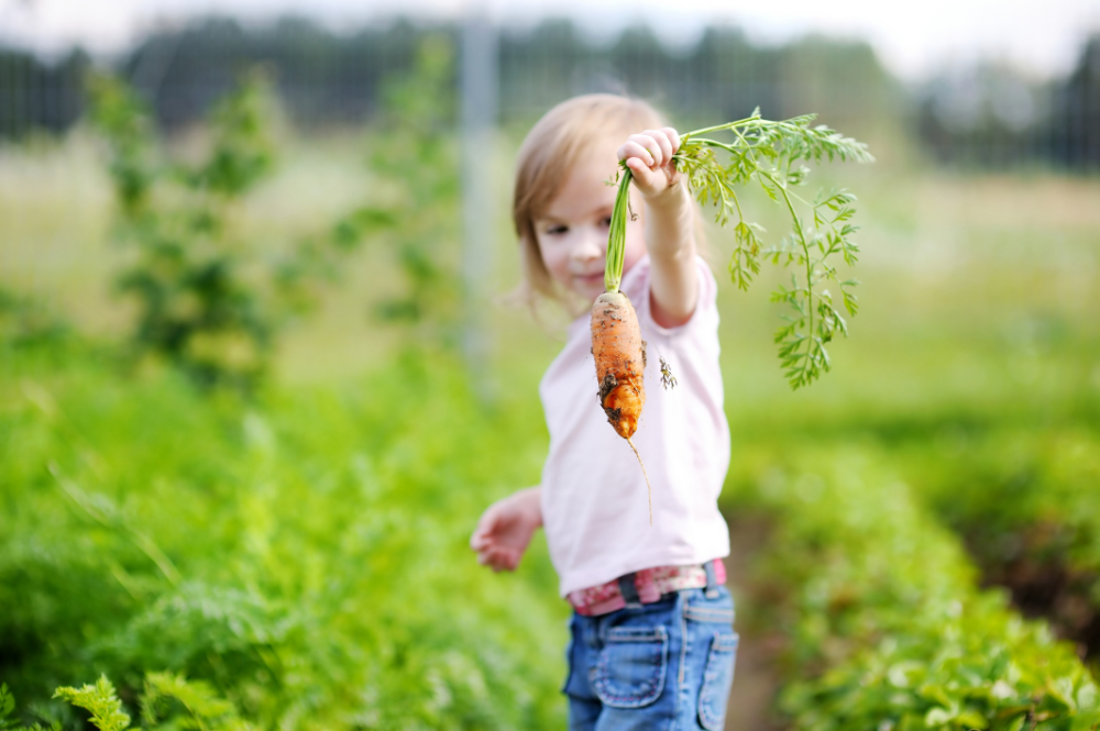 Girl with carrot