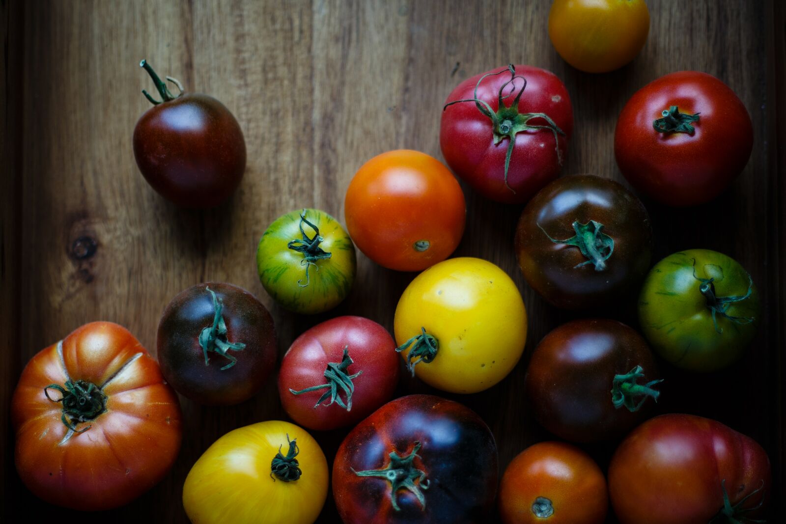 Harvesting tomatoes before winter