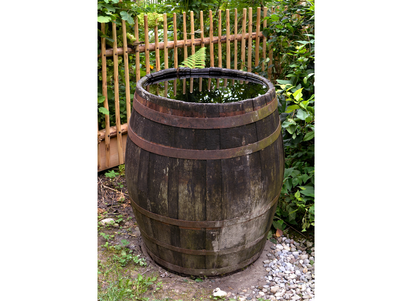 rain barrel