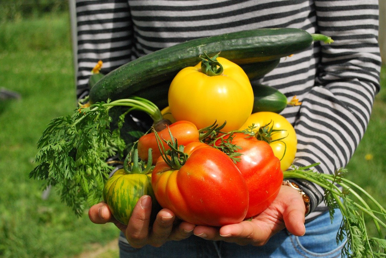Harvest in July