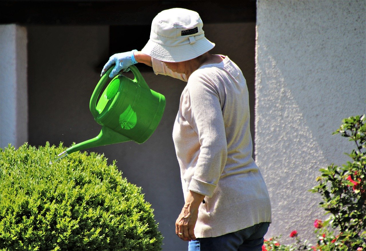 Gartenarbeit im Juli