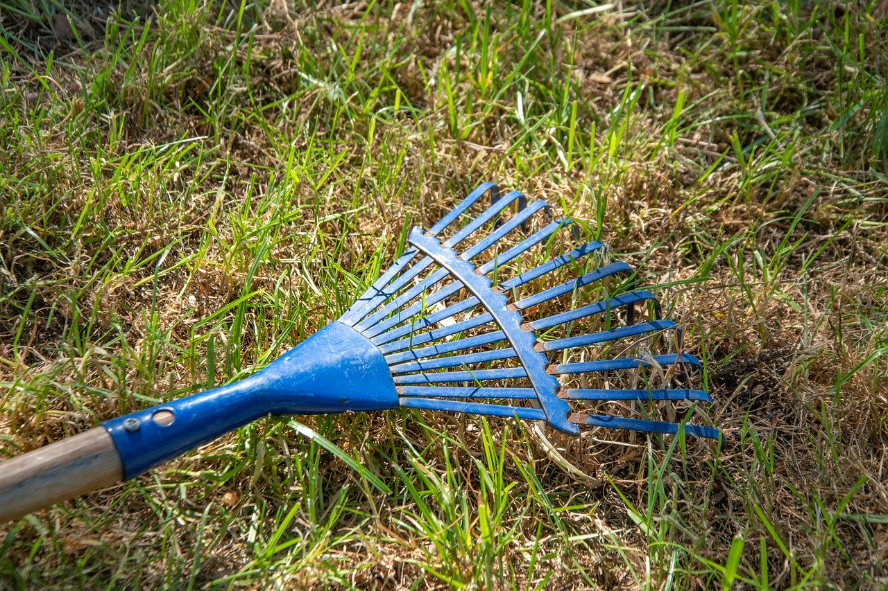 Rake grass clippings for hay