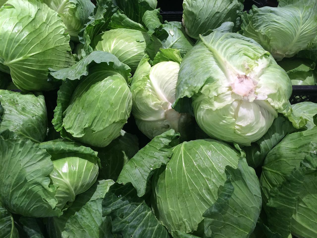 storing kale