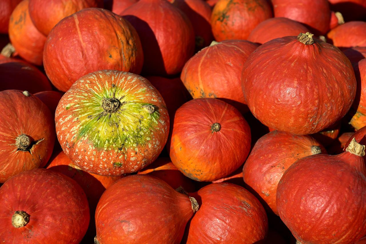 Ripe pumpkins in storage
