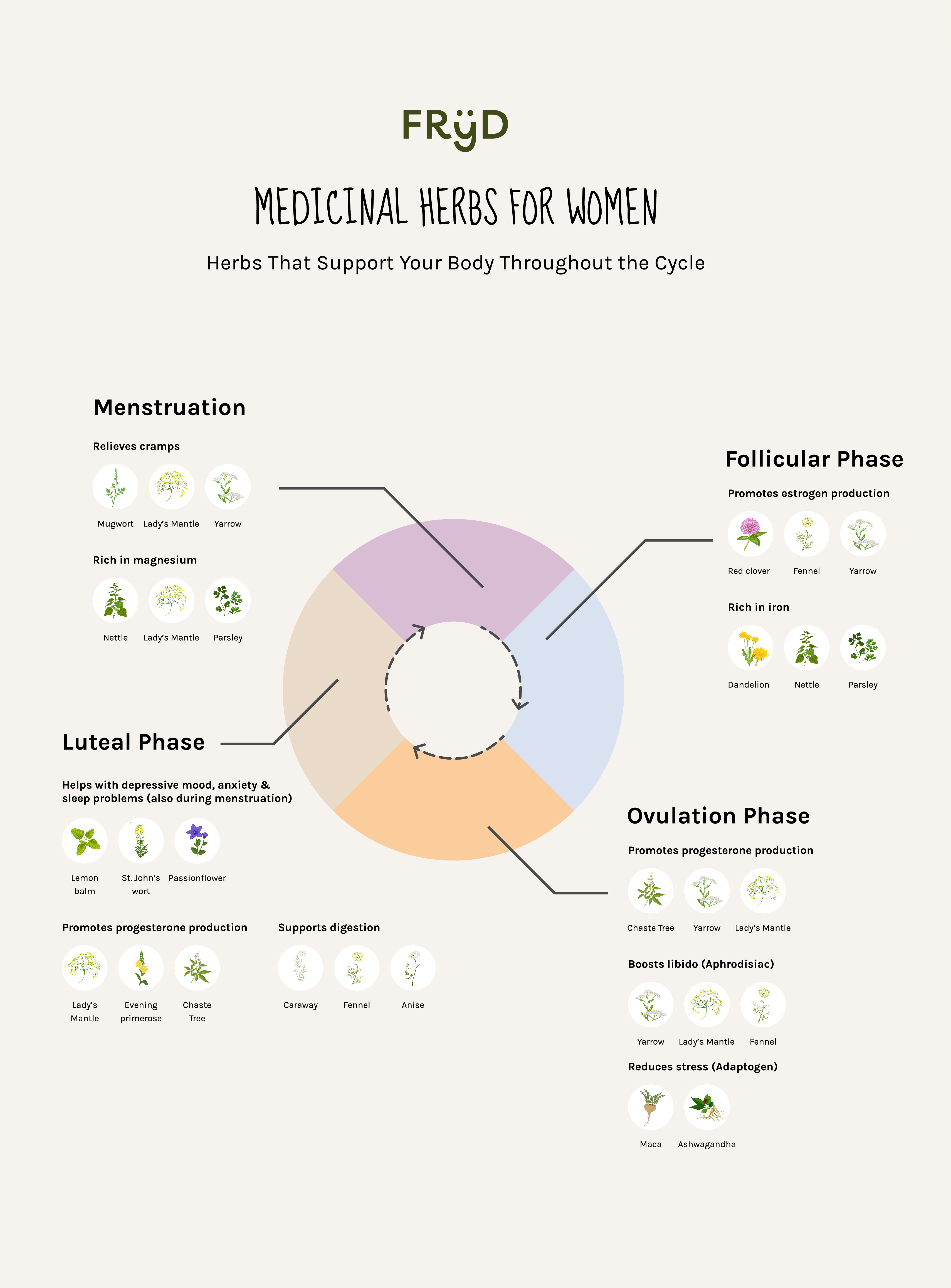 medicinal-herbs-for-women-companions-throughout-the-cycle.pdf
