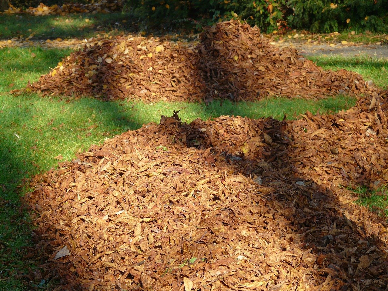 Komposthaufen aus Blättern