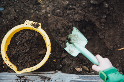 Hot Rotting for Compost: Faster Composting
