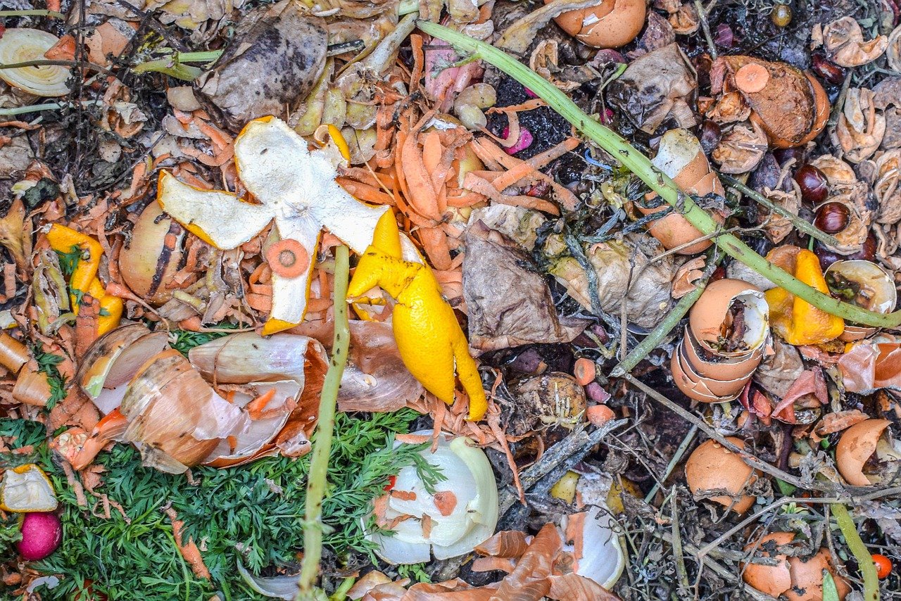 Kompost mit biologischen Abfällen
