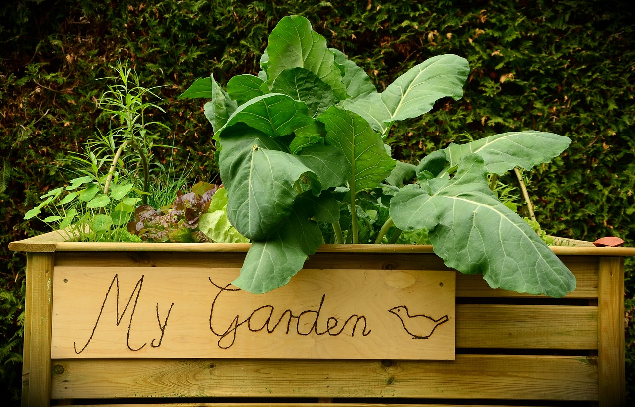 How to Fill a Raised Bed: Instructions & Tips