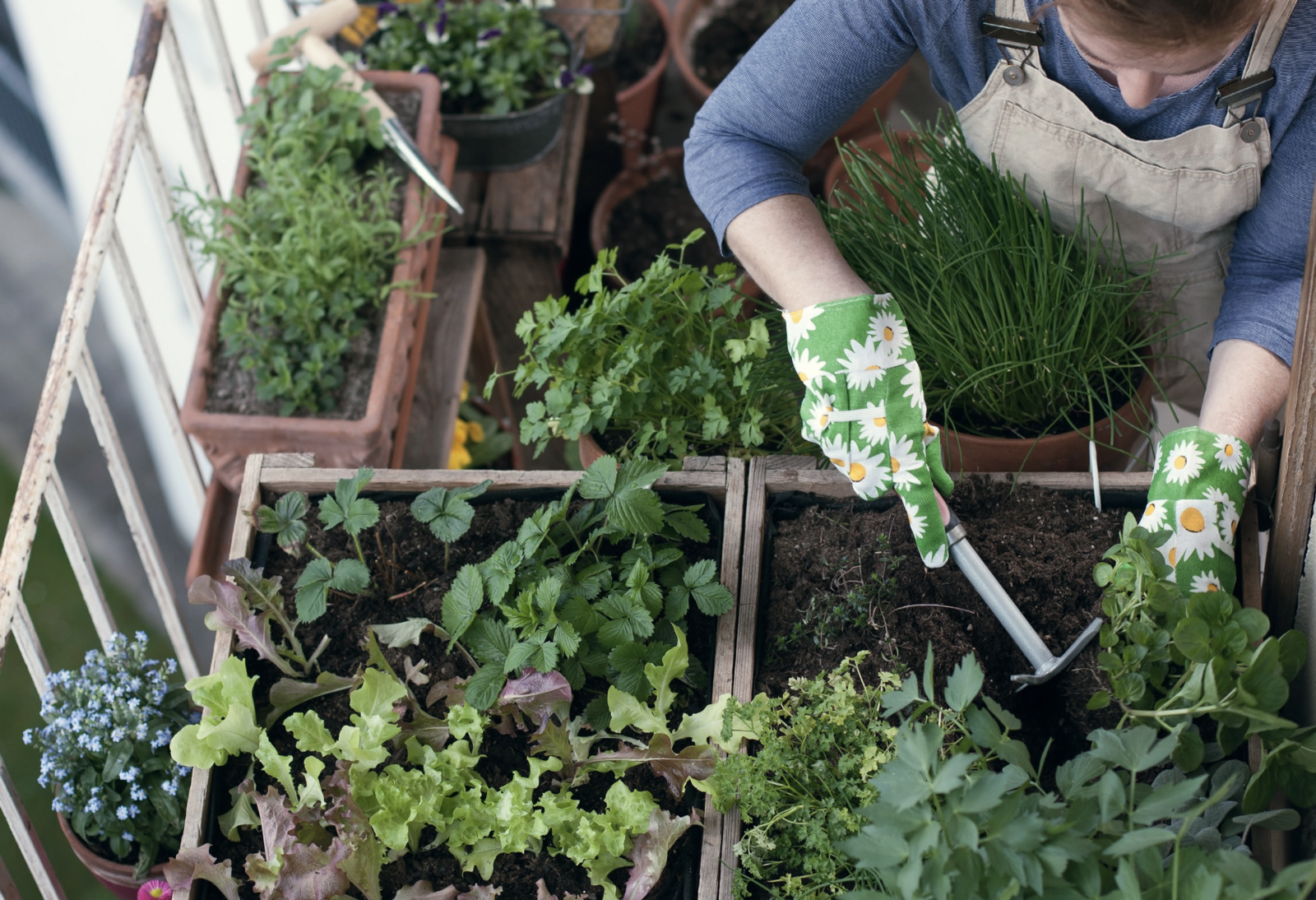 Raised beds on the balcony