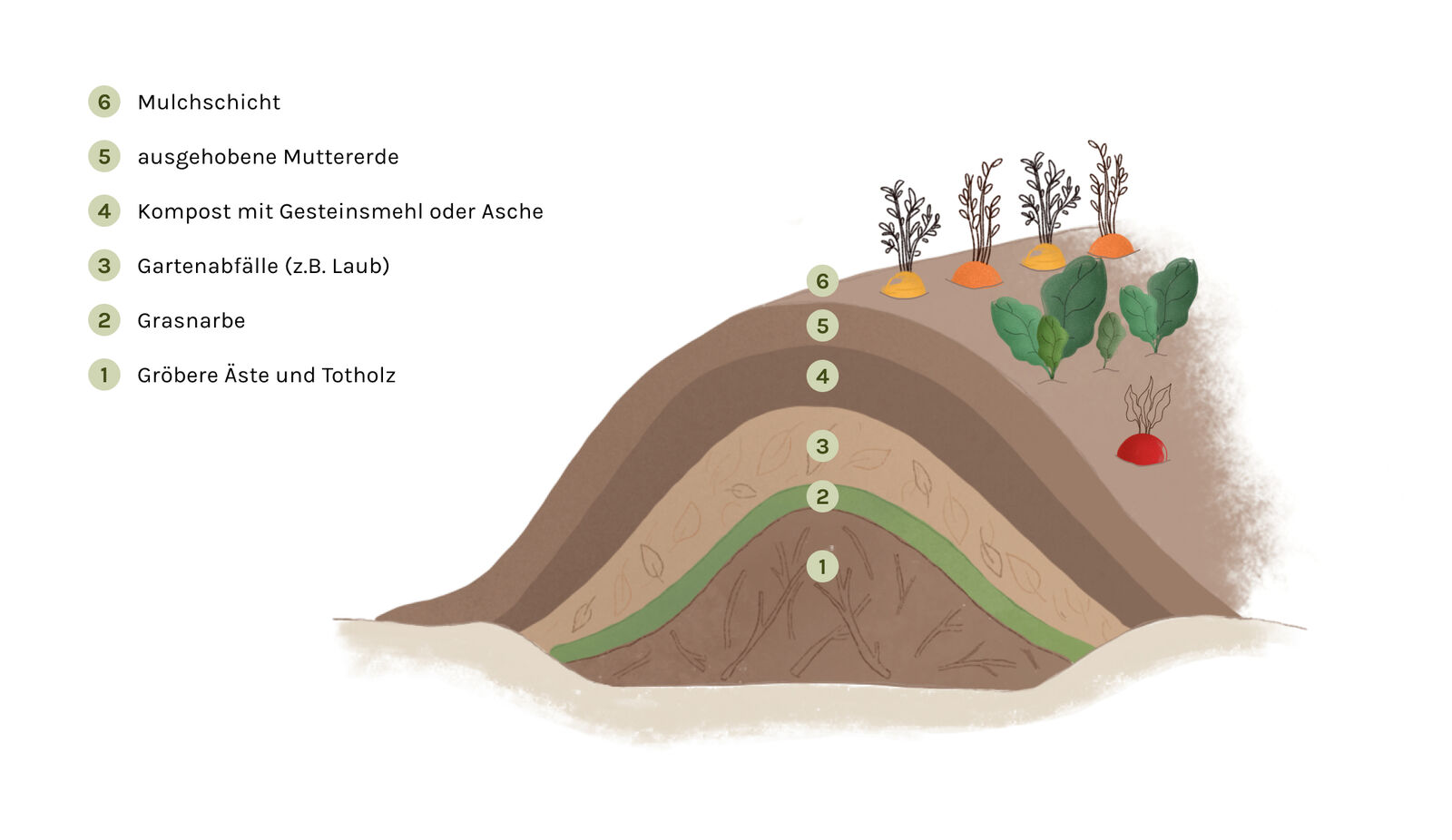 Die verschiedenen Schichten bei einem Hügelbeet