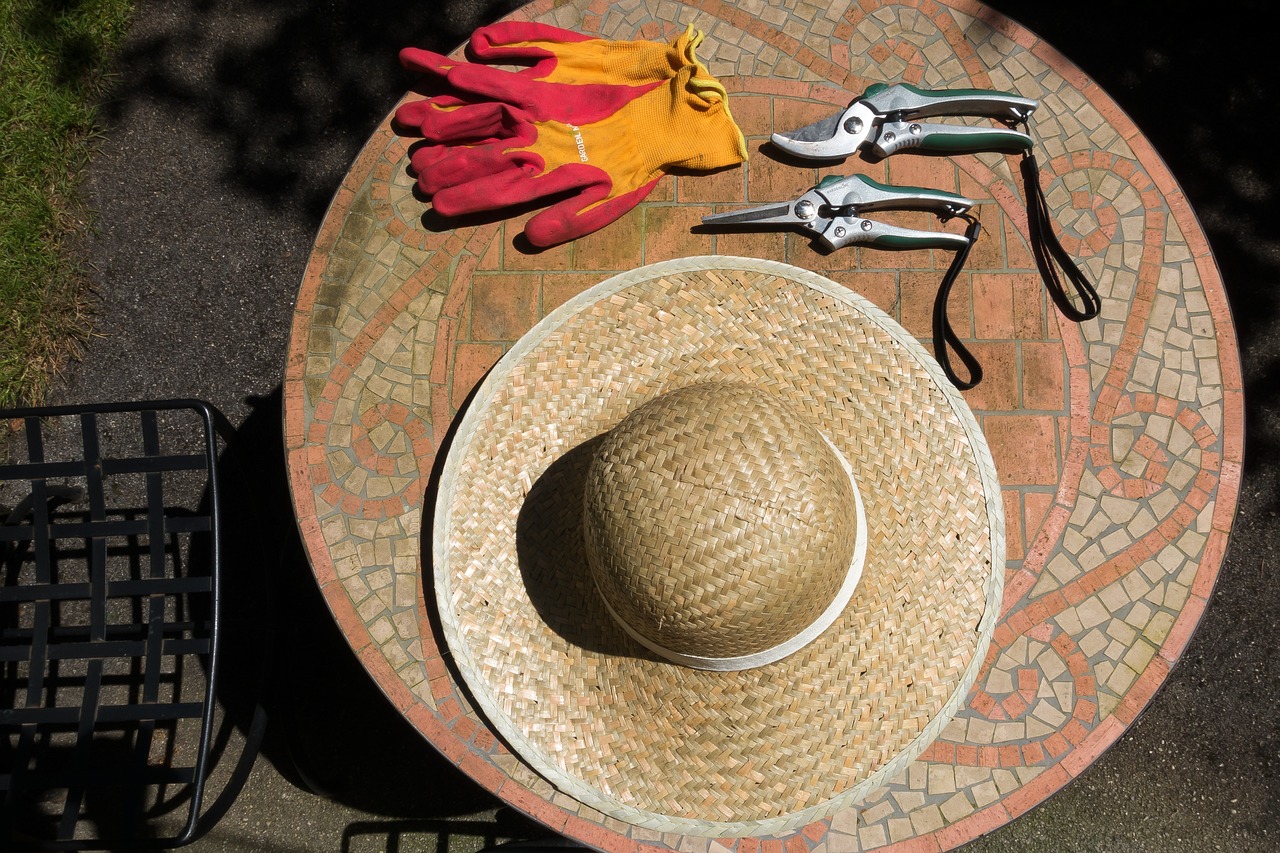 Tools for pruning currants: scissors, gloves and sun hat