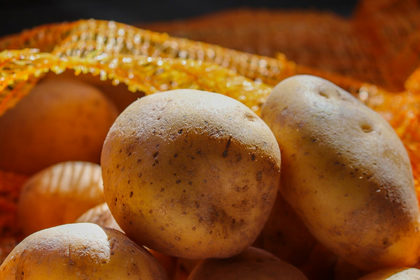 Kartoffeln richtig lagern: So geht‘s