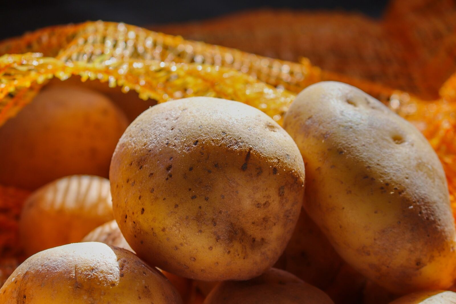 Kartoffeln richtig lagern: So geht‘s