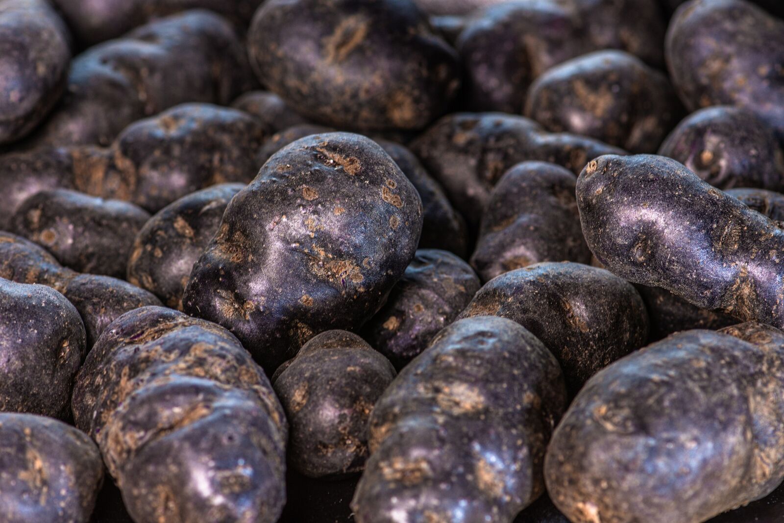 Red potatoes