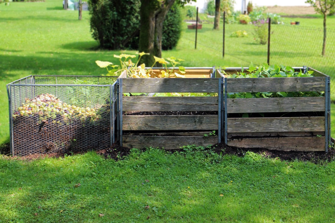 Compost laid out in three containers