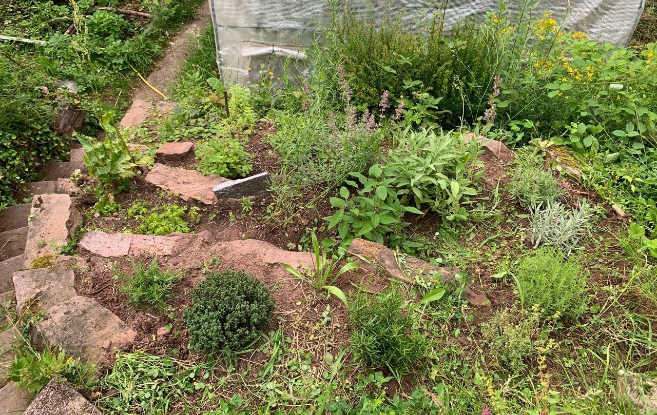 Herb spiral on a slope made of stones