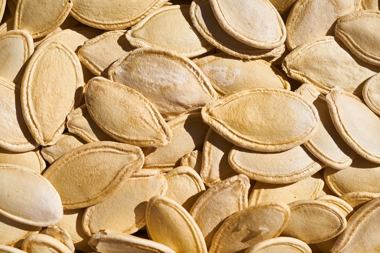 Kürbissamen